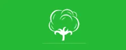 Mahima Group
